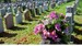 Cemetery with pink bouquet on one tombstone